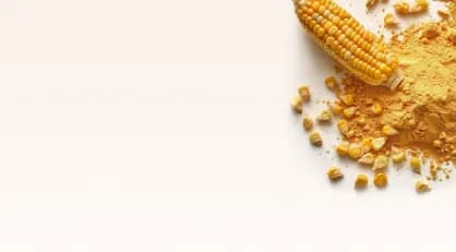 Kukuřičná vláknina