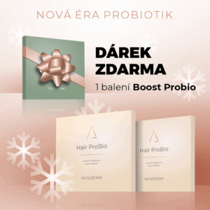 Vánoční balíček #4